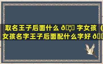 取名王子后面什么 🦉 字女孩（女孩名字王子后面配什么字好 🌷 听）